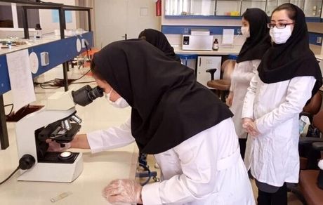 علیپور: برای رفع کمبود پزشک باید ظرفیت جذب دانشجو افزایش پیدا کند