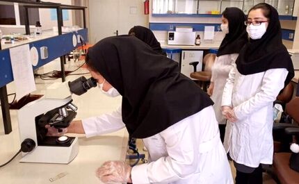 علیپور: برای رفع کمبود پزشک باید ظرفیت جذب دانشجو افزایش پیدا کند