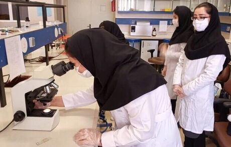 علیپور: برای رفع کمبود پزشک باید ظرفیت جذب دانشجو افزایش پیدا کند