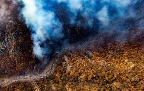 ممنوعیت ورود گردشگران به عرصه‌های جنگلی هیرکانی، زاگرس و ارسباران