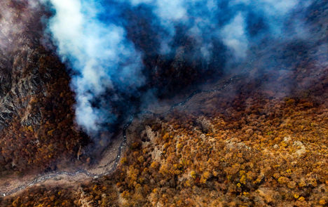 آتش سوزی جنگل هیرکانی ابر در مرز شاهرود و استان گلستان