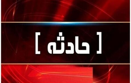 برخورد هواپیمای آموزشی به کوه در استان فارس / دو نفر شهید شدند