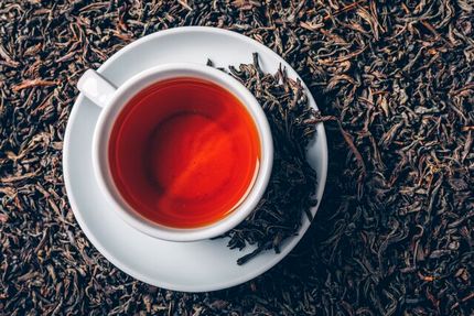 افزایش ۶۴ درصدی صادرات چای ایرانی