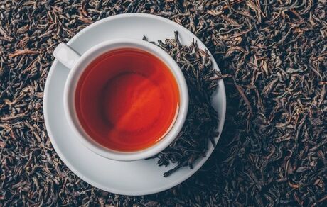 افزایش ۶۴ درصدی صادرات چای ایرانی