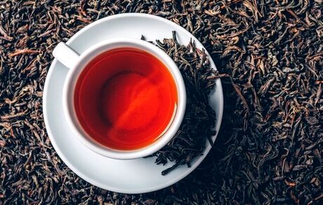 افزایش ۶۴ درصدی صادرات چای ایرانی