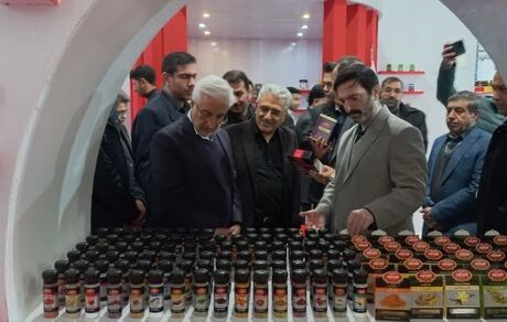 چهاردهمین نمایشگاه تخصصی کشاورزی خراسان شمالی آغاز شد