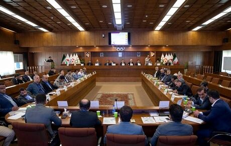 انتخابات فدراسیون کشتی باطل شد
