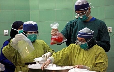 افزایش ۶۶ درصدی اهدای عضو در کشور نسبت به سال گذشته