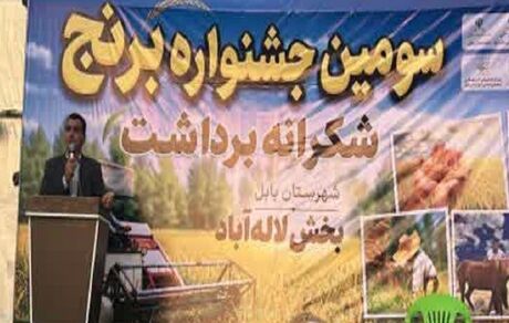 سومین جشنواره برداشت برنج در بخش لاله آباد بابل برگزار شد