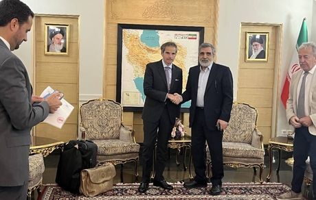 مدیرکل آژانس بین‌المللی انرژی اتمی به ایران آمد