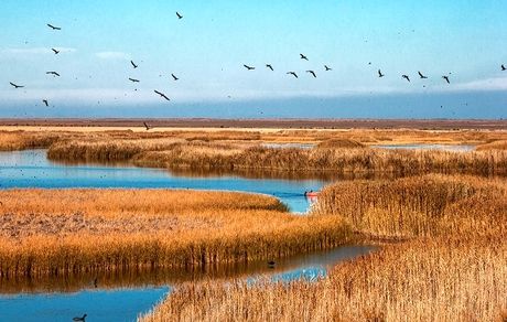 زنده شدن دوباره تالاب کانی برازان با بارندگی‌های اخیر