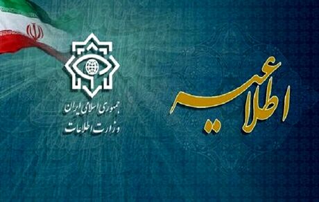 وزارت اطلاعات: حضور در تجمعات غیرقانونی موجب تعقیب قضایی می‌شود