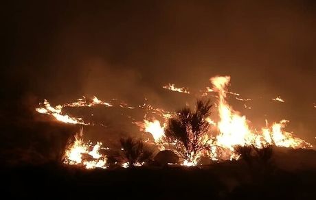 مهار آتش‌سوزی گسترده در ارتفاعات جوادیه شیراز