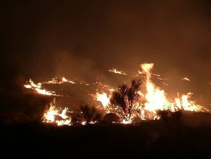 مهار آتش‌سوزی گسترده در ارتفاعات جوادیه شیراز