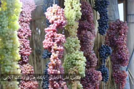 ثبت «جشنواره انگور ارومیه» در تقویم رویدادهای گردشگری ایران 