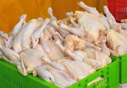 قیمت مصوب مرغ افزایش یافت