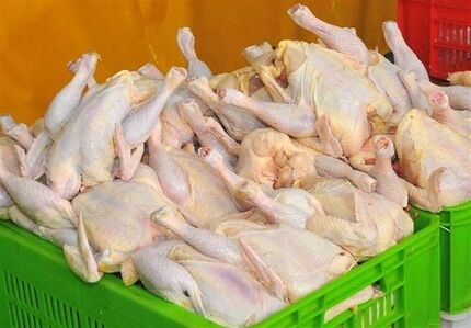 قیمت مصوب مرغ افزایش یافت