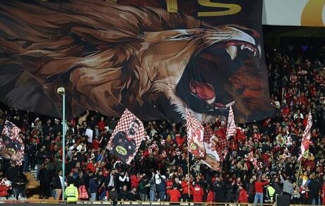 سرمربی پرسپولیس، قطعا خارجی است