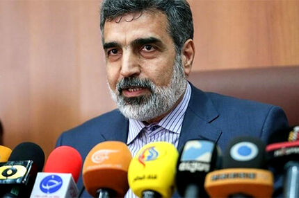 توسعه همکاری‌های هسته‌ای از مهمترین محورهای رایزنی رئیس جمهور و پوتین بود
