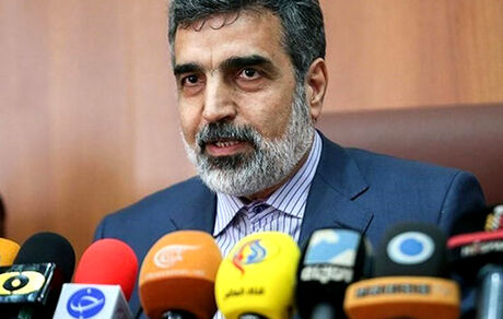 توسعه همکاری‌های هسته‌ای از مهمترین محورهای رایزنی رئیس جمهور و پوتین بود