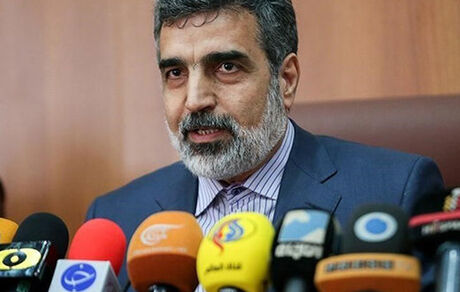 توسعه همکاری‌های هسته‌ای از مهمترین محورهای رایزنی رئیس جمهور و پوتین بود