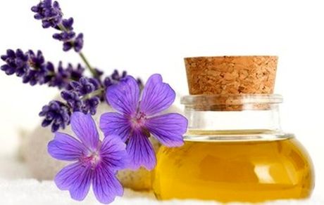 روغن بنفشه در اتاق معاون استاندار یزد خبرساز شد