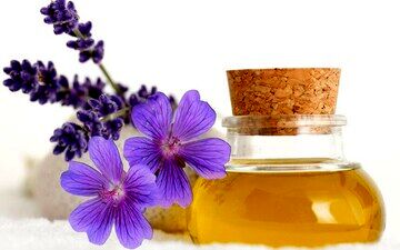 روغن بنفشه در اتاق معاون استاندار یزد خبرساز شد