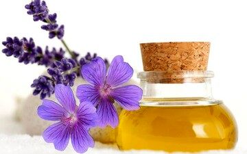 روغن بنفشه در اتاق معاون استاندار یزد خبرساز شد