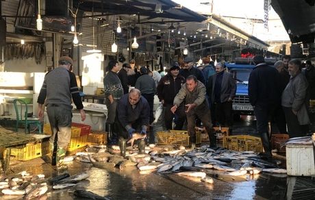 صید ۱۹۰ تن انواع ماهی توسط صیادان استان مازندران