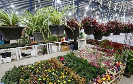 آغاز دومین نمایشگاه تخصصی گل و گیاه در تبریز