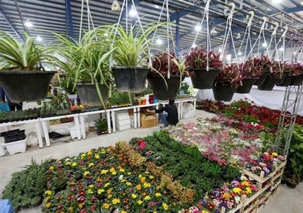 آغاز دومین نمایشگاه تخصصی گل و گیاه در تبریز