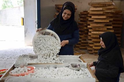 ایجاد اشتغال پایدار از طریق احیای ۱۰۰۰ تعاونی روستایی