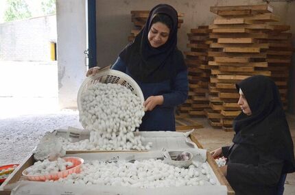 ایجاد اشتغال پایدار از طریق احیای ۱۰۰۰ تعاونی روستایی