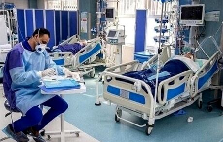 شیوع بیماری ویروسی در شهر بدره استان ایلام