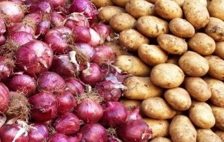 ثبات در بازار سیب زمینی و پیاز