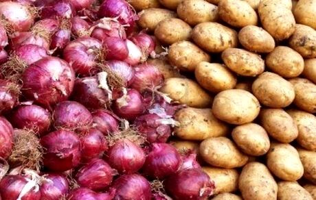 ثبات در بازار سیب زمینی و پیاز