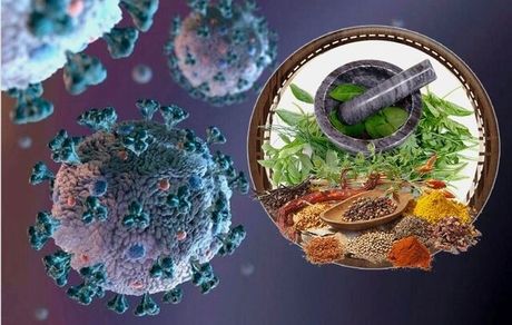 داروی امام کاظم، بخور جوش شیرین، عنبرنسارا و ... در پیشگیری و درمان کرونا موثرند؟!