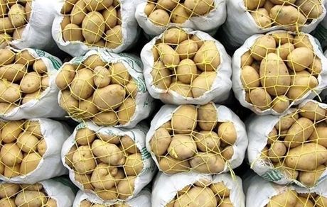 حل مشکل واردات سیب زمینی با ورود بخش خصوصی