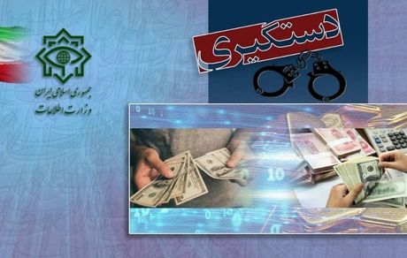 دستگیری ۵ اخلالگر شاخص بازار ارز تهران