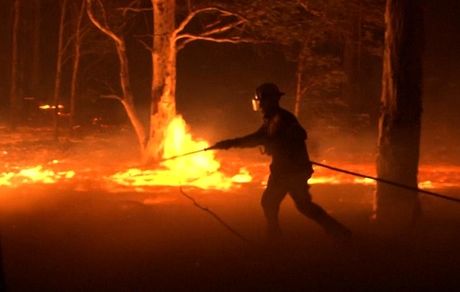مرگ نیم میلیارد جانور از ۲۴۴ گونه جانوری در آتش‌سوزی استرالیا