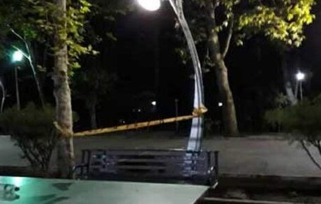 توضیحاتی درباره مرگ نوجوان ۱۴ ساله در پارک لاله