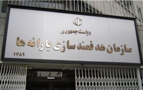 مدیر عامل جدید سازمان هدفمندی یارانه‌ها منصوب شد