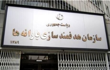 مدیر عامل جدید سازمان هدفمندی یارانه‌ها منصوب شد