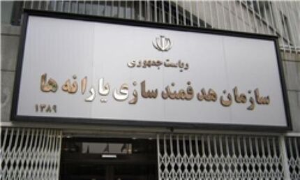 مدیر عامل جدید سازمان هدفمندی یارانه‌ها منصوب شد