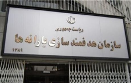مدیر عامل جدید سازمان هدفمندی یارانه‌ها منصوب شد