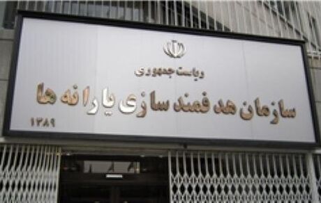 مدیر عامل جدید سازمان هدفمندی یارانه‌ها منصوب شد