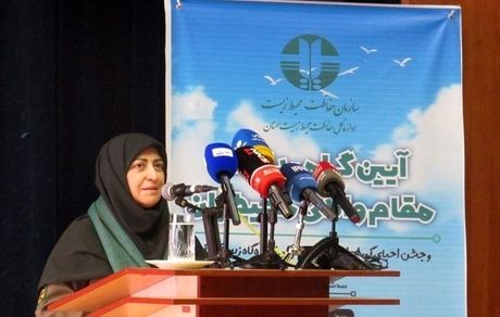 انصاری: دریاچه ارومیه مهم ترین چالش ماست