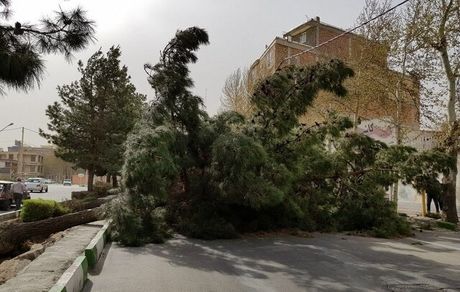 تندباد در ارومیه، ۹ نفر را مصدوم کرد