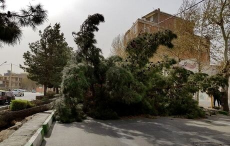 تندباد در ارومیه، ۹ نفر را مصدوم کرد