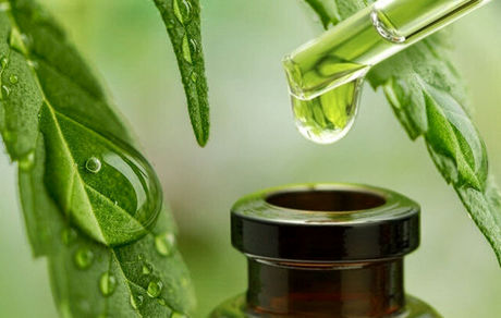 رشد ۱۰برابری تولید داروها و فرآورده‌های گیاهی و سنتی